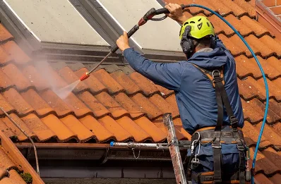 Démoussage et hydrofuge de toiture à Veilleins